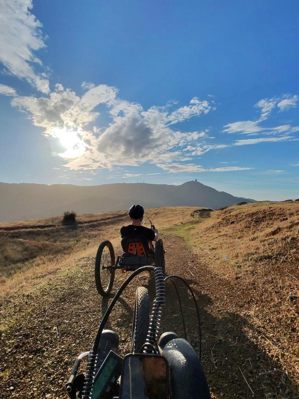 photo-182_singular_display_fullPicture Large.jpeg